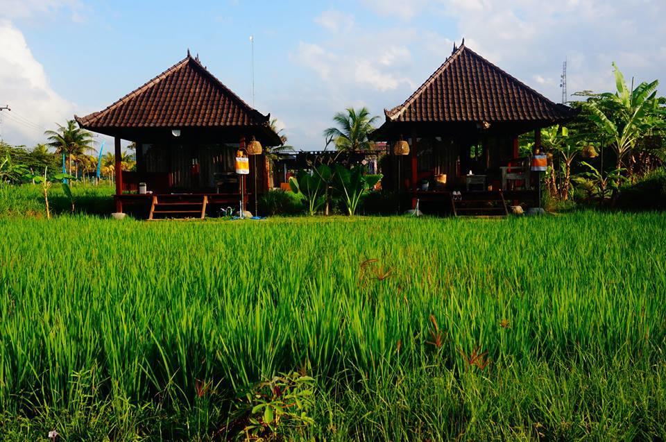 Ferienpark Surf Camp