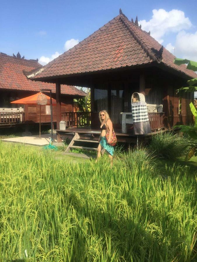Ferienpark Surf Camp
